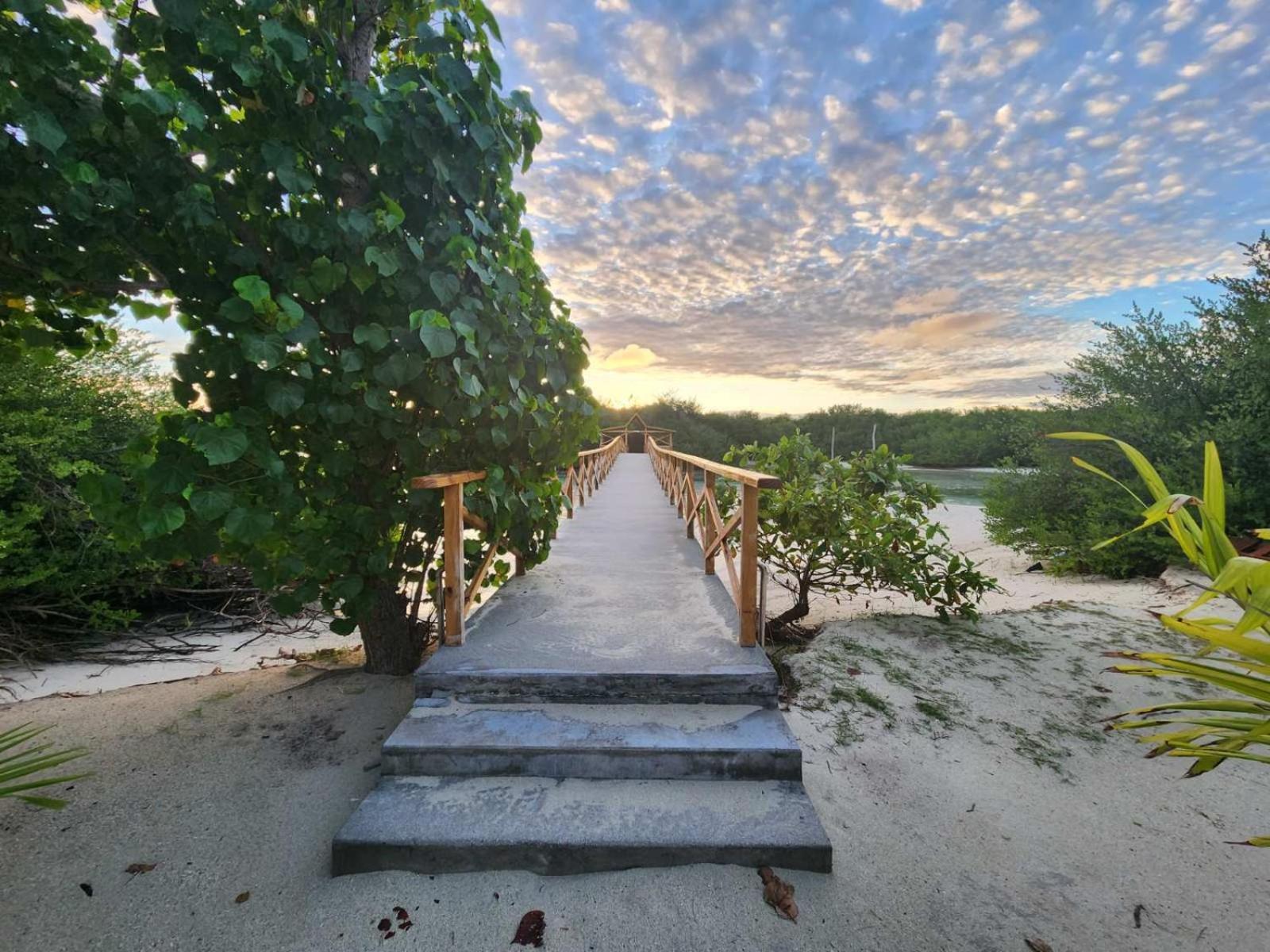 Surf Deck Hotel Thulusdhoo Ngoại thất bức ảnh